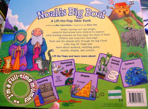 Noah's Big Boat-A Lift-the-Flap Book