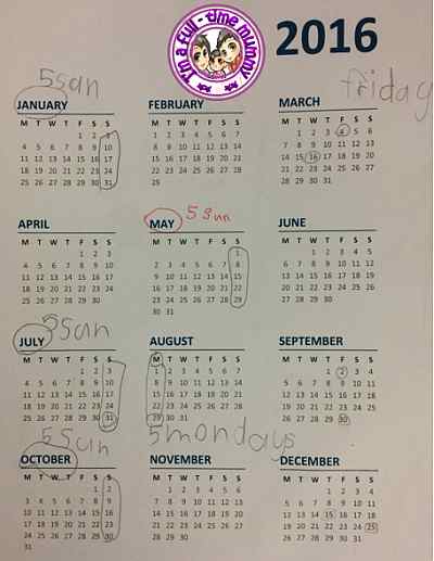 Using Calendar As A Teaching Tool